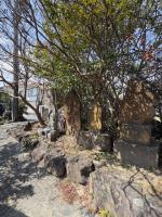 いわき市平沼ノ内諏訪原　太陽の光も優しく注ぐ建築条件なし土地 78.82坪!!